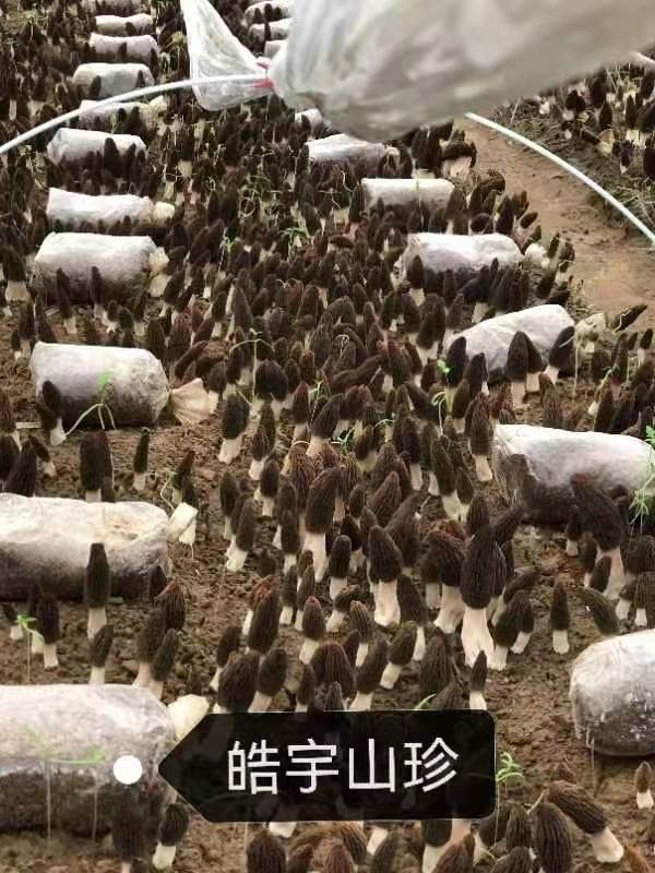 &#24320;&#20803;&#32593;&#31449;&#30331;&#24405;&#20837;&#21475;&#95;&#24320;&#20803;&#65288;&#20013;&#22269;&#65289;